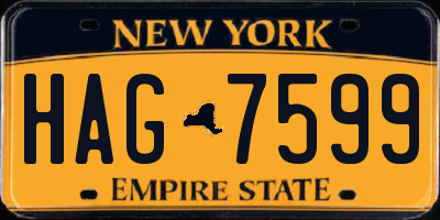 NY license plate HAG7599