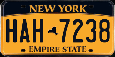 NY license plate HAH7238
