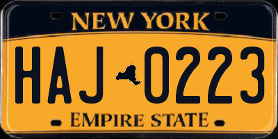 NY license plate HAJ0223