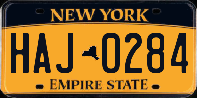 NY license plate HAJ0284