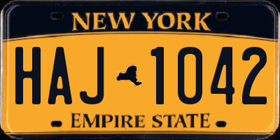 NY license plate HAJ1042