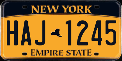 NY license plate HAJ1245