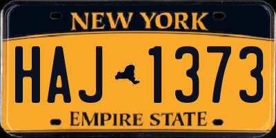NY license plate HAJ1373