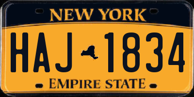 NY license plate HAJ1834