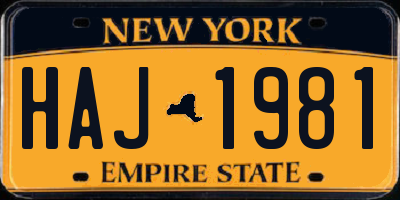 NY license plate HAJ1981
