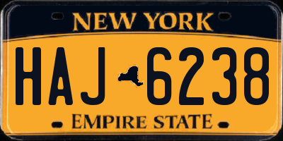 NY license plate HAJ6238