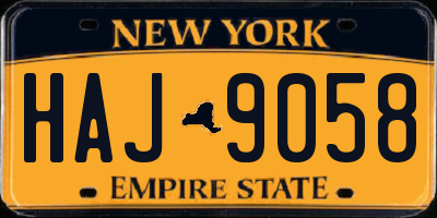 NY license plate HAJ9058