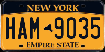 NY license plate HAM9035