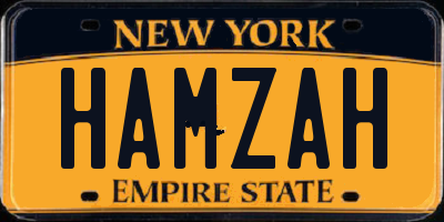 NY license plate HAMZAH