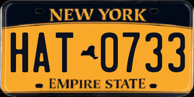NY license plate HAT0733