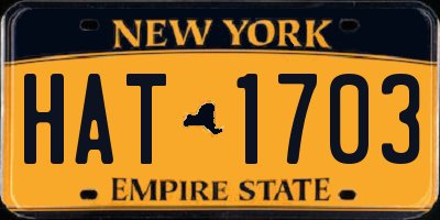 NY license plate HAT1703