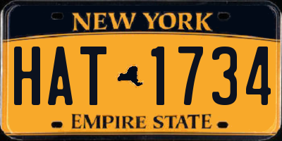 NY license plate HAT1734
