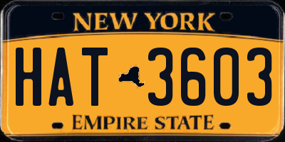 NY license plate HAT3603