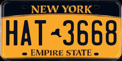 NY license plate HAT3668