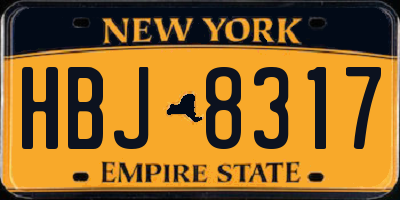 NY license plate HBJ8317