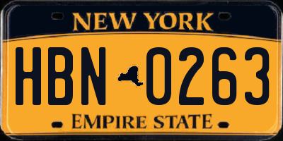 NY license plate HBN0263
