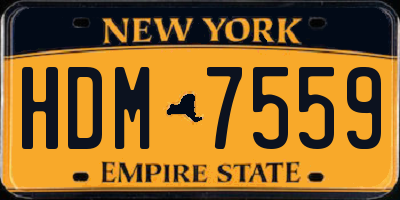 NY license plate HDM7559