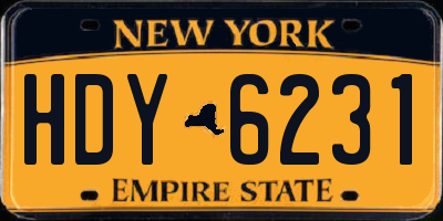 NY license plate HDY6231