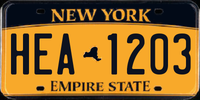 NY license plate HEA1203