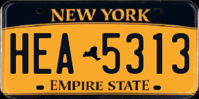 NY license plate HEA5313