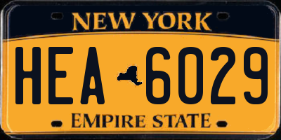 NY license plate HEA6029