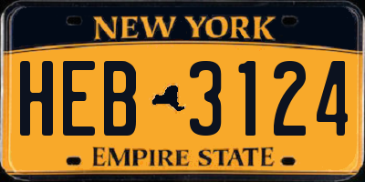 NY license plate HEB3124