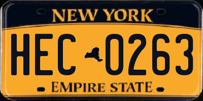 NY license plate HEC0263