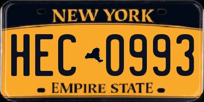 NY license plate HEC0993