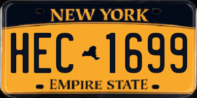 NY license plate HEC1699