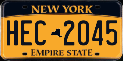 NY license plate HEC2045