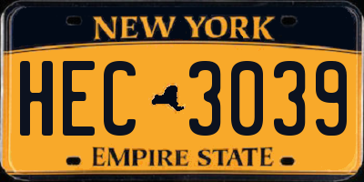 NY license plate HEC3039