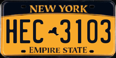 NY license plate HEC3103