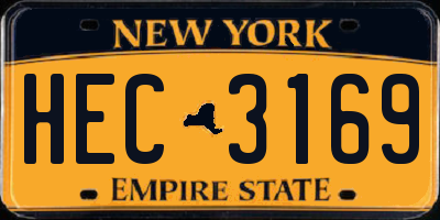NY license plate HEC3169