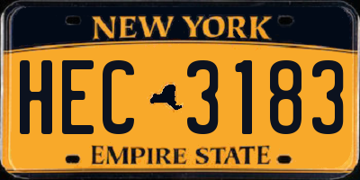NY license plate HEC3183