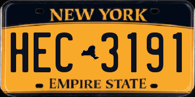 NY license plate HEC3191