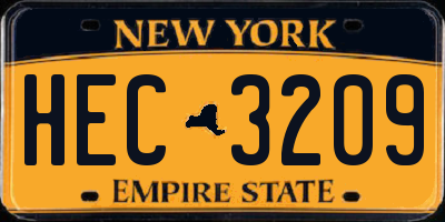 NY license plate HEC3209