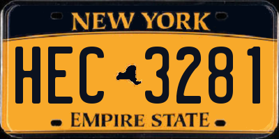 NY license plate HEC3281