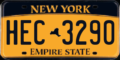 NY license plate HEC3290