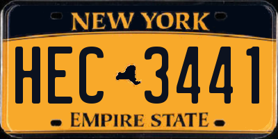 NY license plate HEC3441