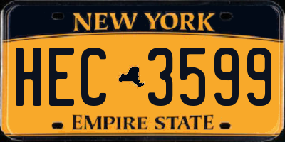 NY license plate HEC3599