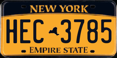 NY license plate HEC3785
