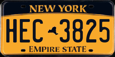 NY license plate HEC3825