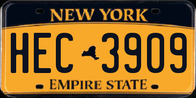 NY license plate HEC3909