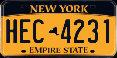 NY license plate HEC4231
