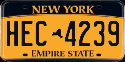 NY license plate HEC4239