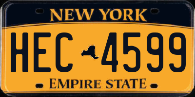 NY license plate HEC4599