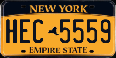 NY license plate HEC5559