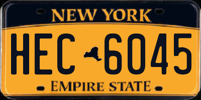 NY license plate HEC6045