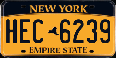 NY license plate HEC6239