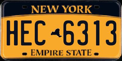 NY license plate HEC6313